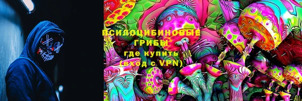spice Белокуриха