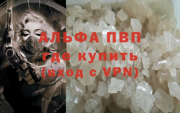МДПВ Протвино