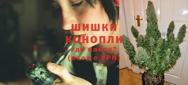 spice Белокуриха